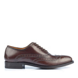 1206 Rossano Oxford Brogue Calfskin Leather Dark Brown